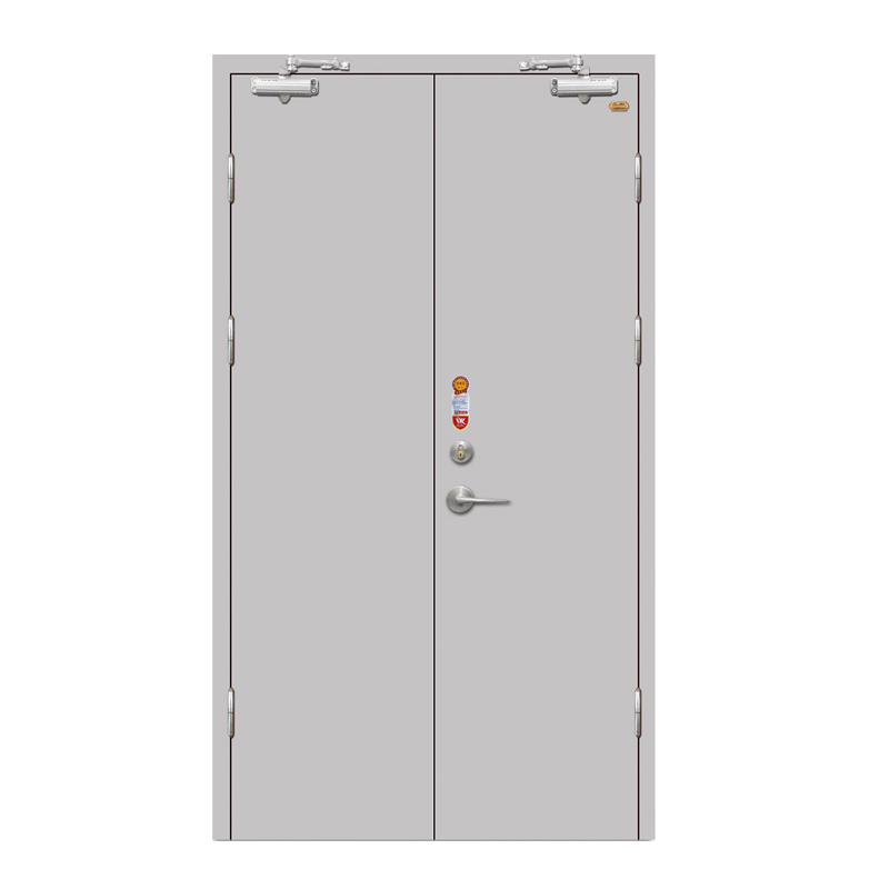 Double-Leaf Fire Door (Silver Gray)